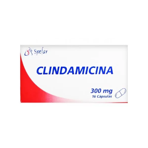 CLINDAMICINA 300MG CAP X 16 (SPEFAR)
